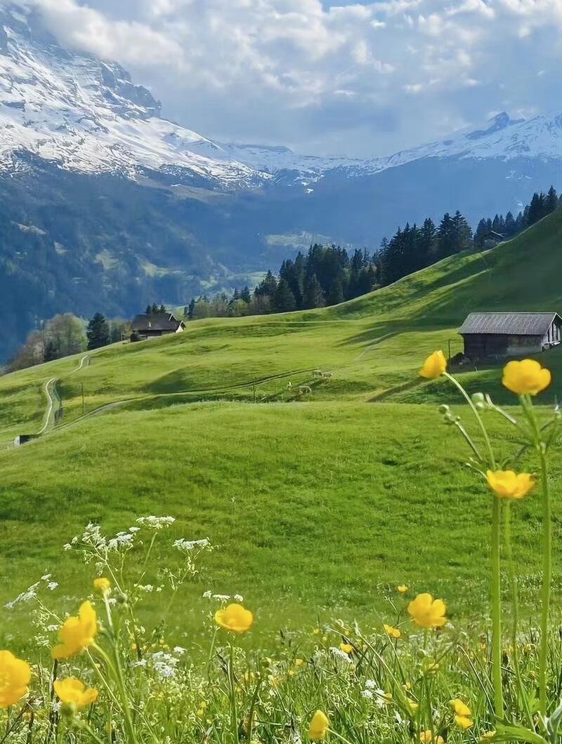 13418470208043672.jpeg 13418470208043672.jpeg