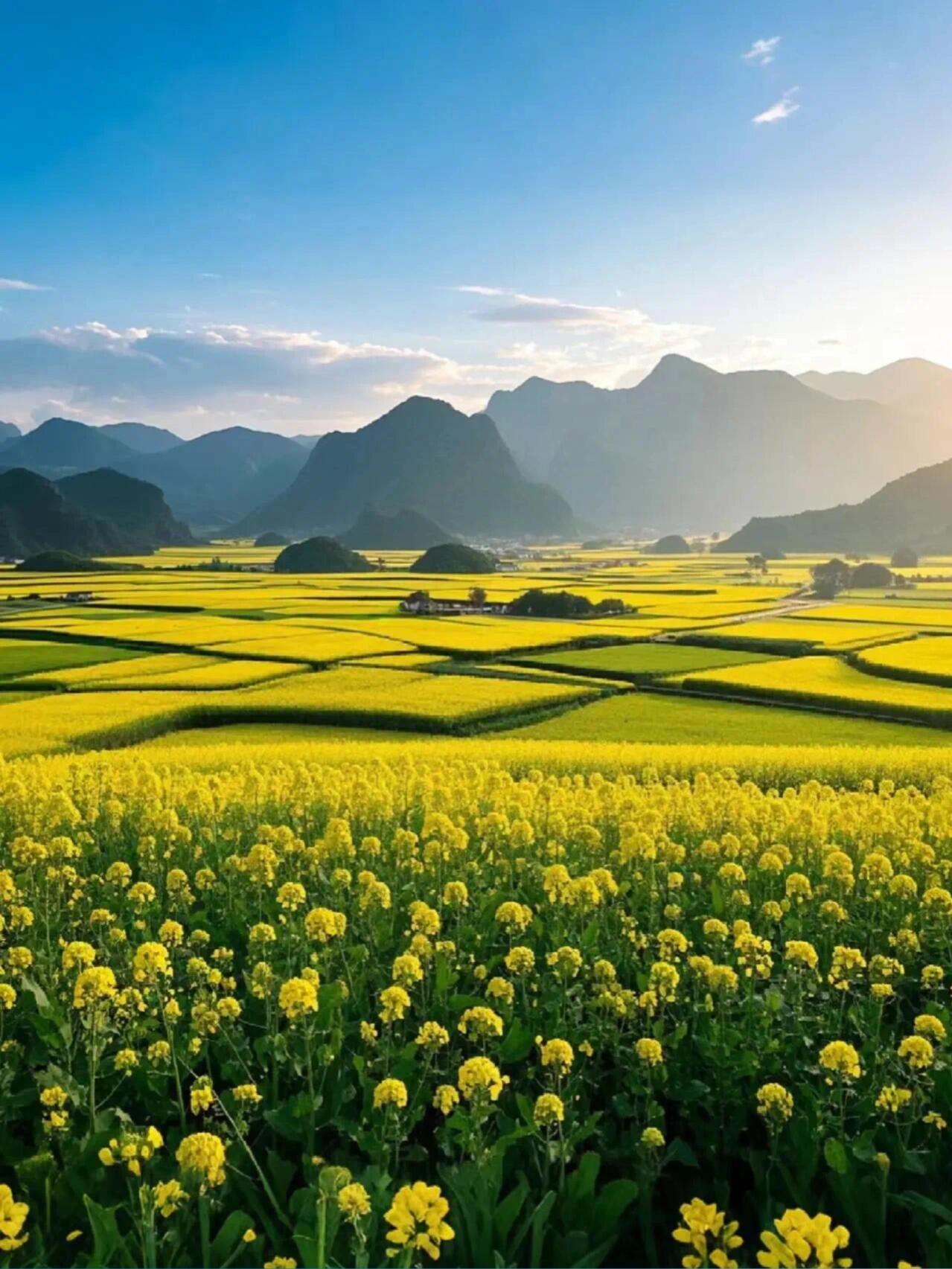 13418705022339464.jpeg 13418705022339464.jpeg