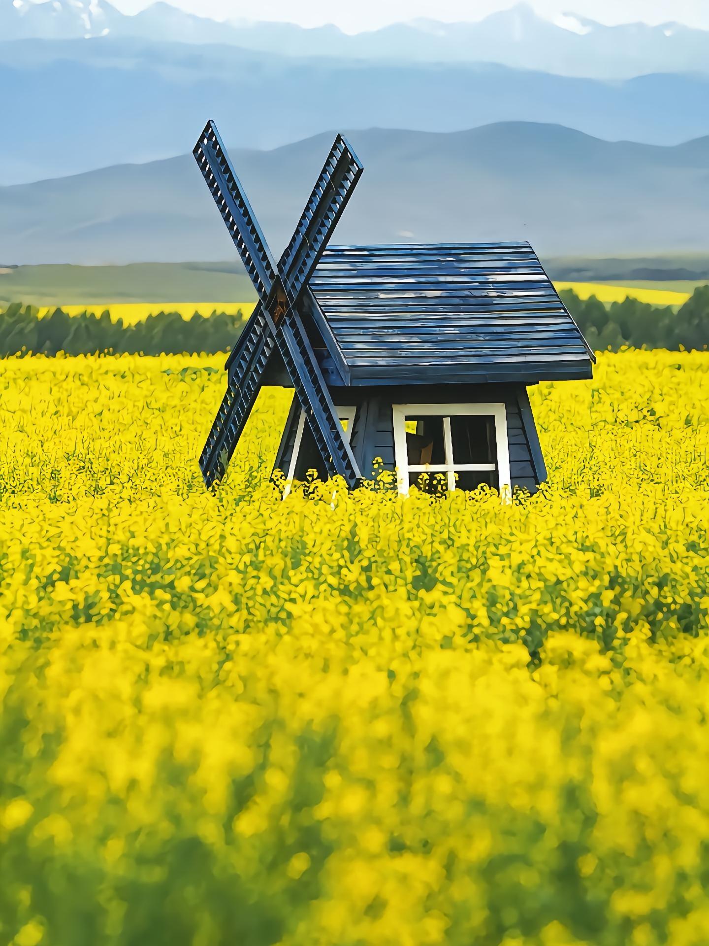 13418705058432772.jpeg 13418705058432772.jpeg