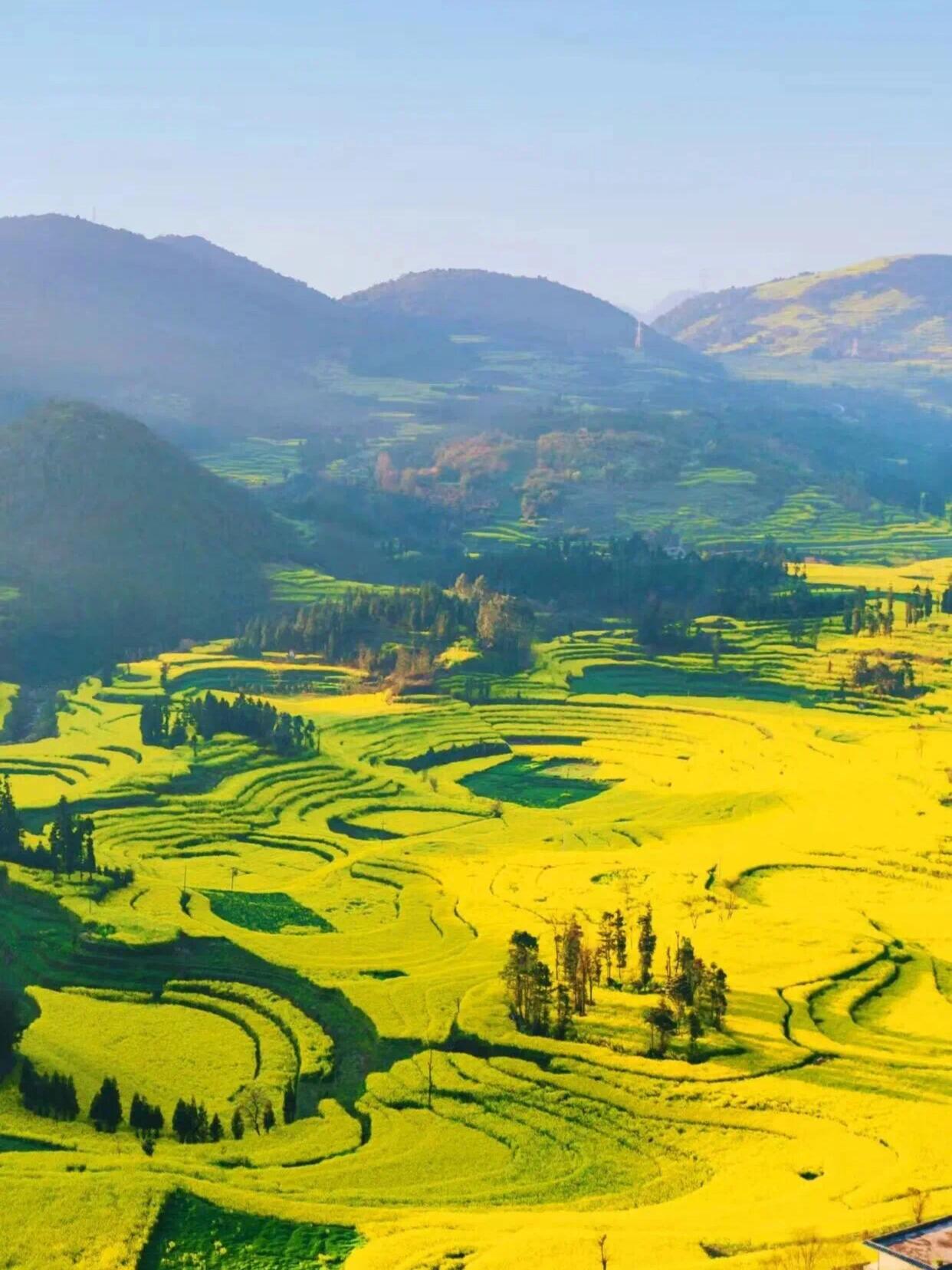 13418705037149026.jpeg 13418705037149026.jpeg