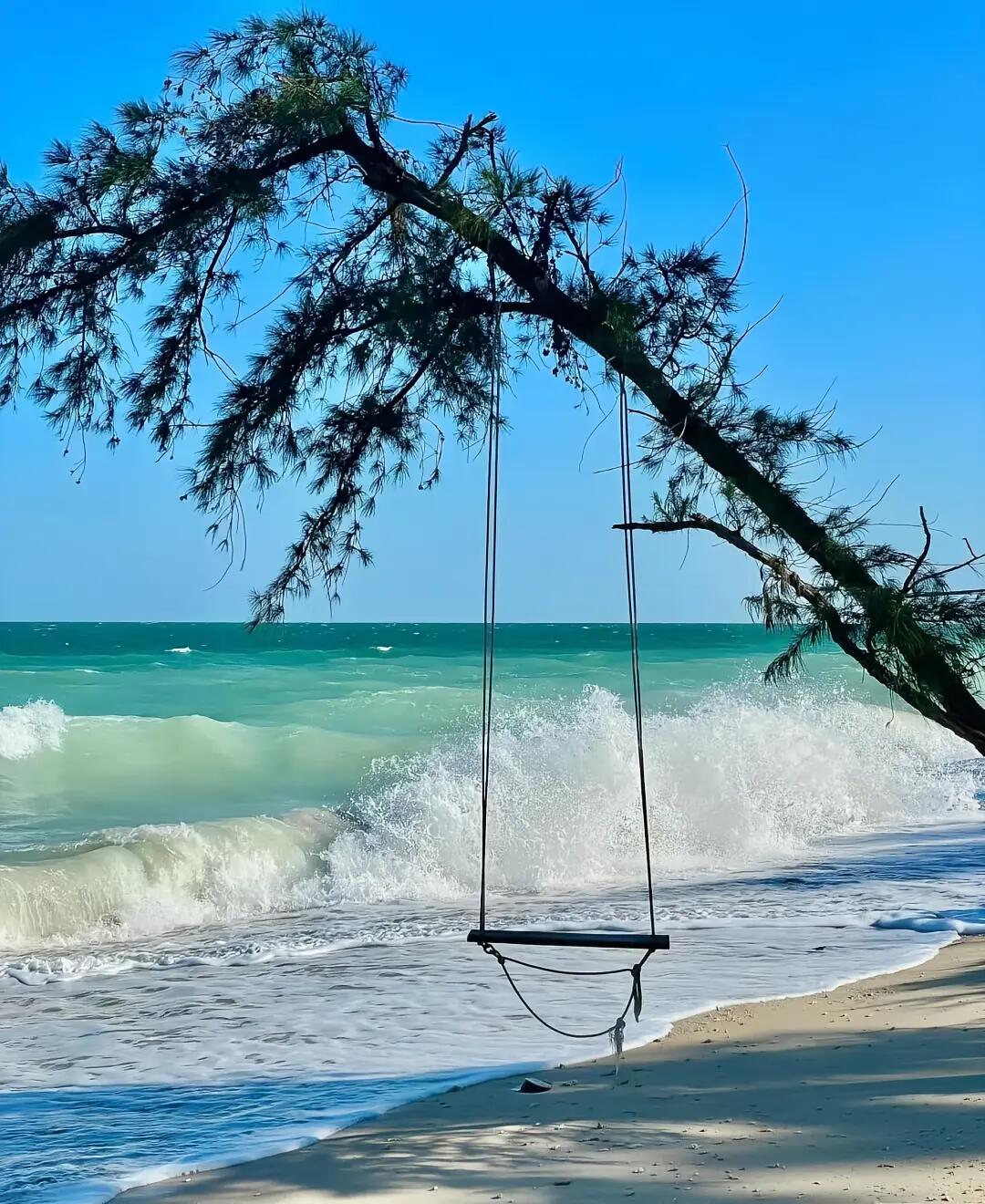 13418705998411735.jpeg 13418705998411735.jpeg