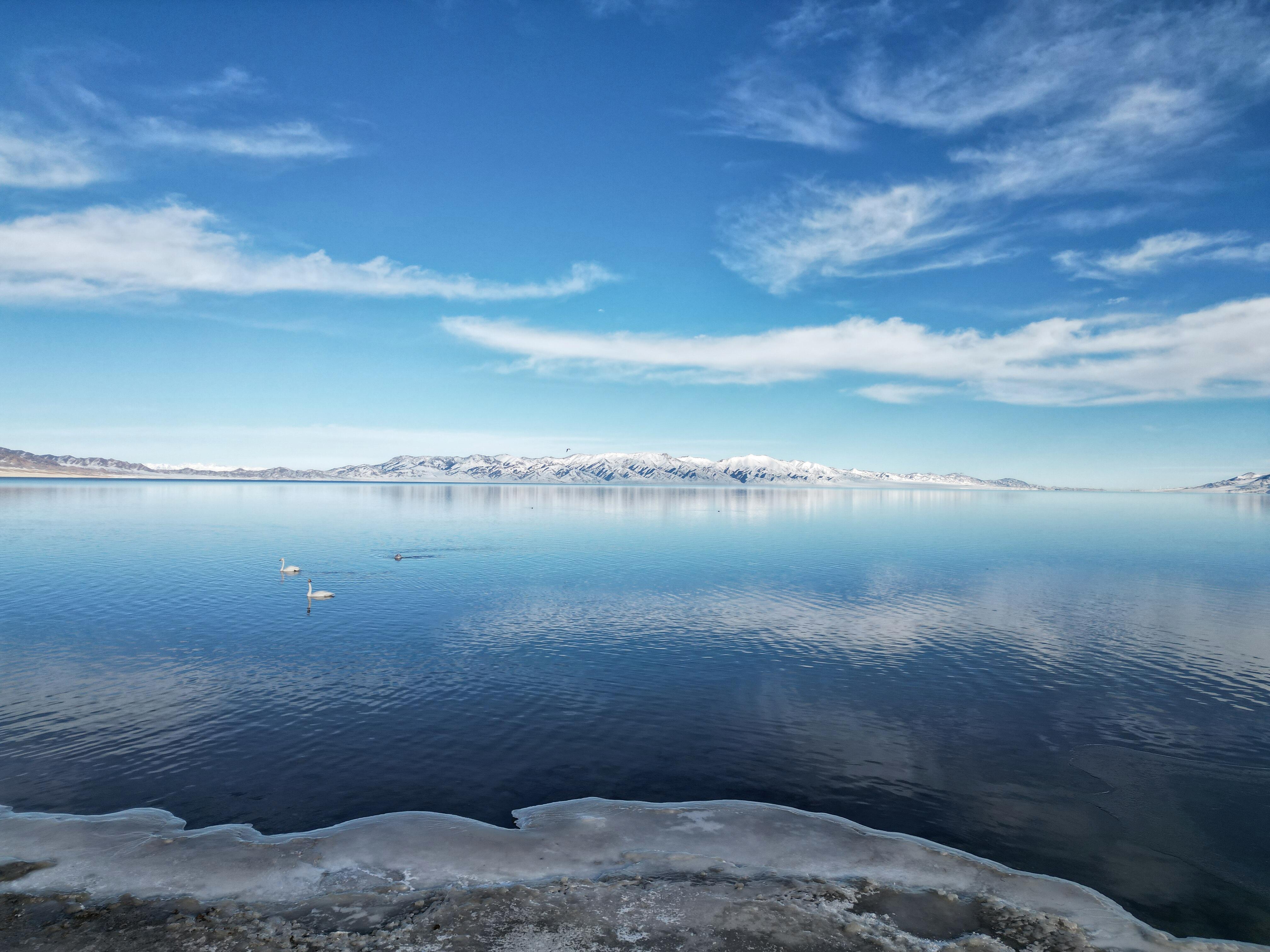 13418469424085984.jpeg 13418469424085984.jpeg