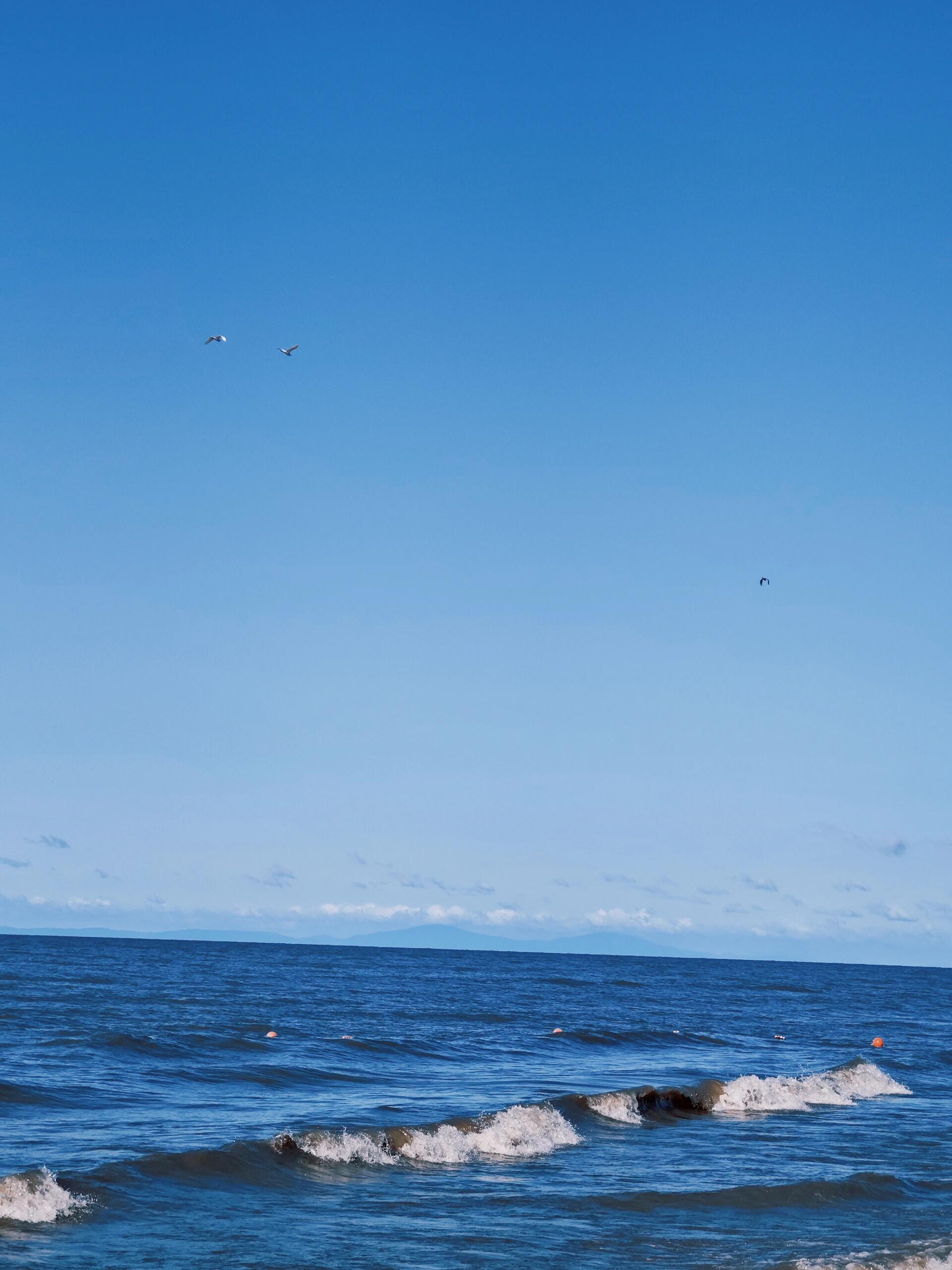 13419482851279088.jpeg 13419482851279088.jpeg