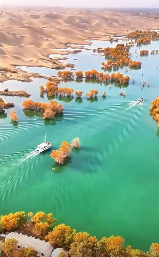 13418470407745256.jpeg 13418470407745256.jpeg