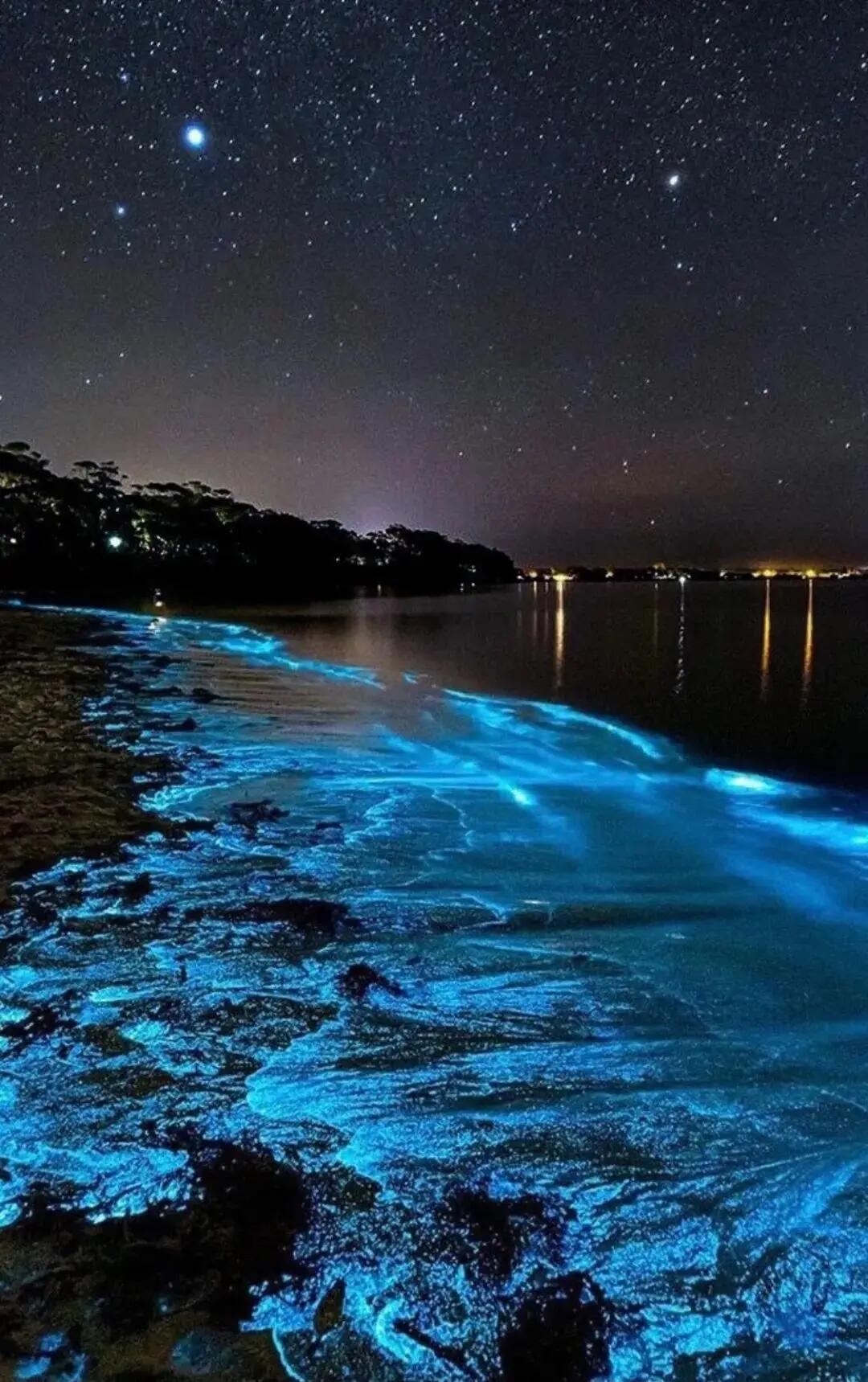 13418795616835578.jpeg 13418795616835578.jpeg