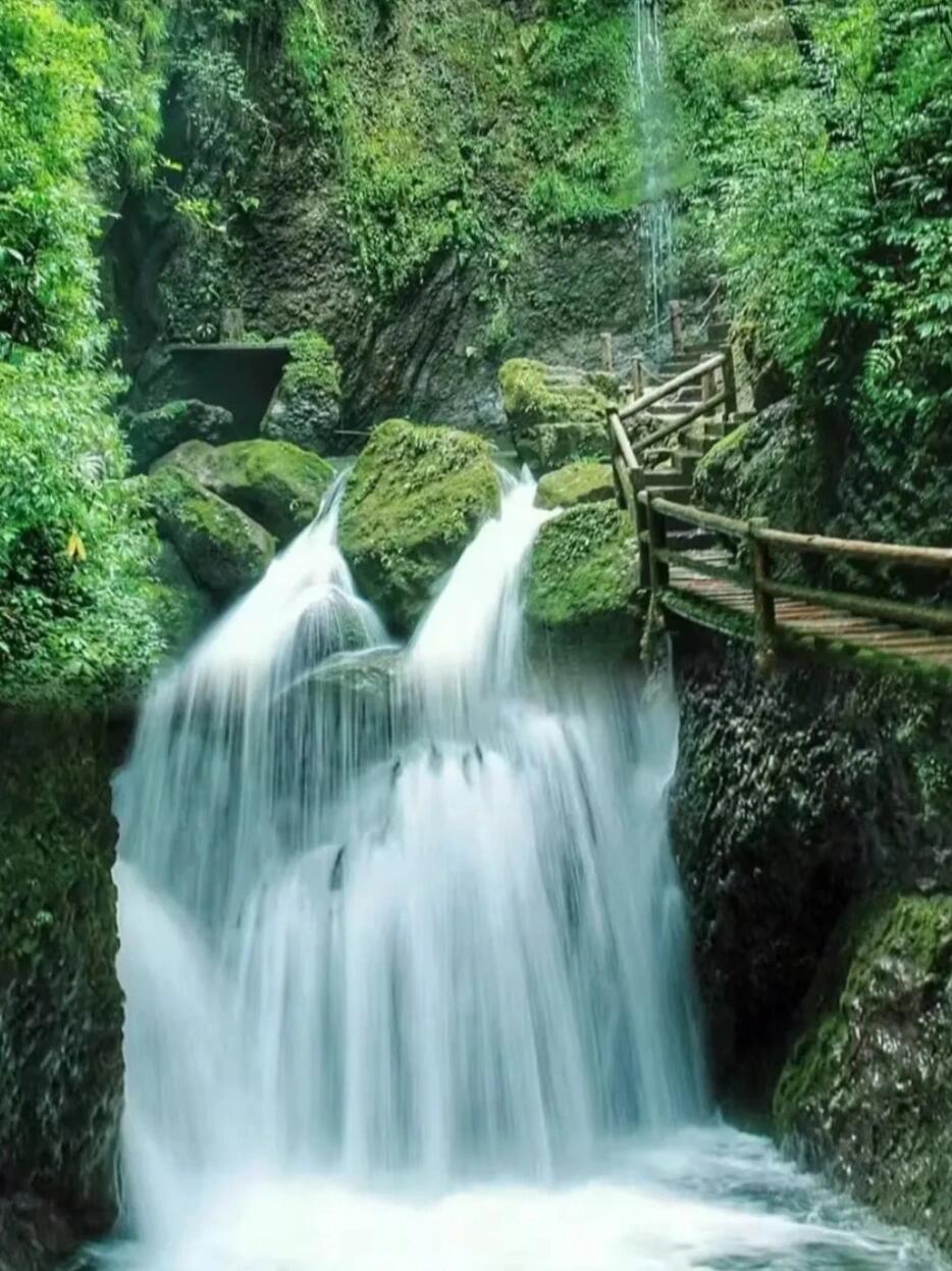 13418723918192336.jpeg 13418723918192336.jpeg