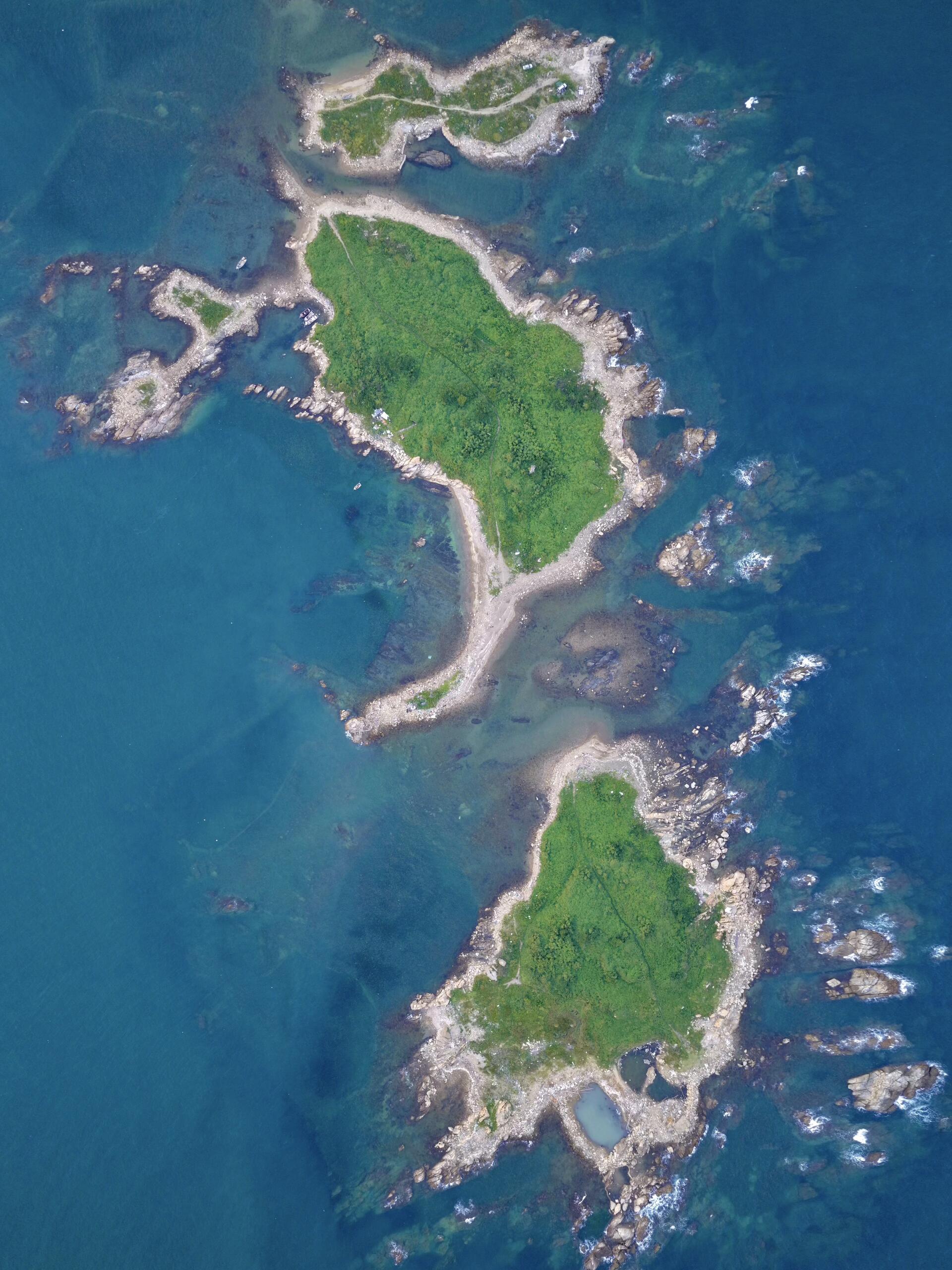 13418793997800715.jpeg 13418793997800715.jpeg