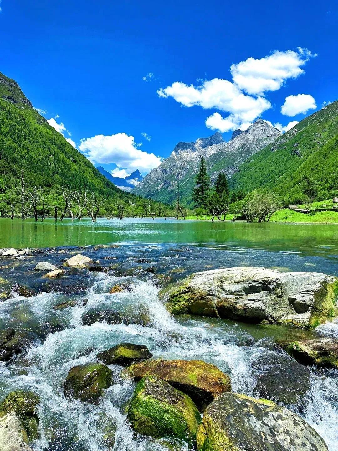 13418720653849558.jpeg 13418720653849558.jpeg