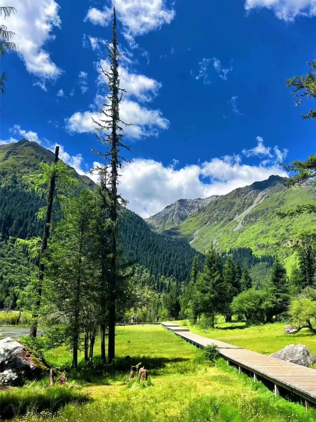 13418720673478974.jpeg 13418720673478974.jpeg