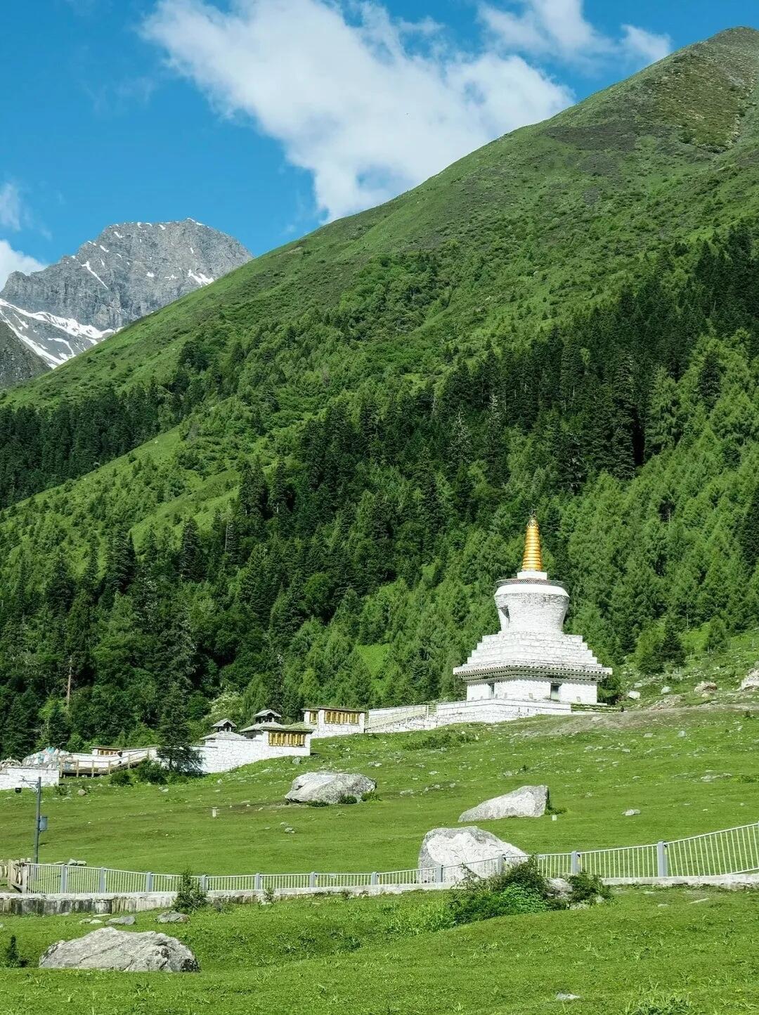 13418720687338351.jpeg 13418720687338351.jpeg