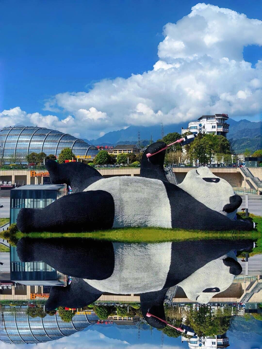 13418711327727354.jpeg 13418711327727354.jpeg