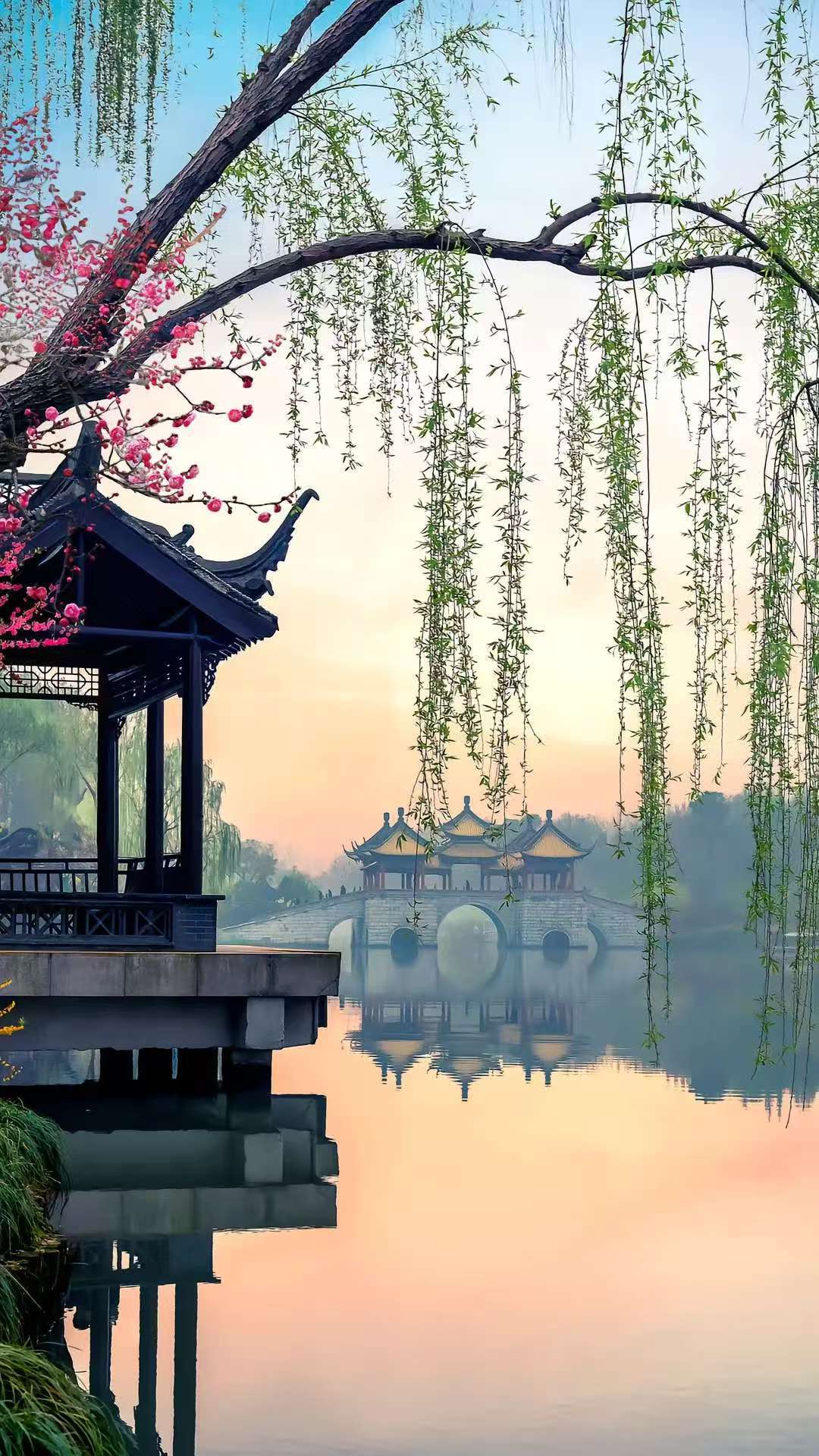 微信图片_20260413090551_13_461.jpg 微信图片_20260413090551_13_461.jpg