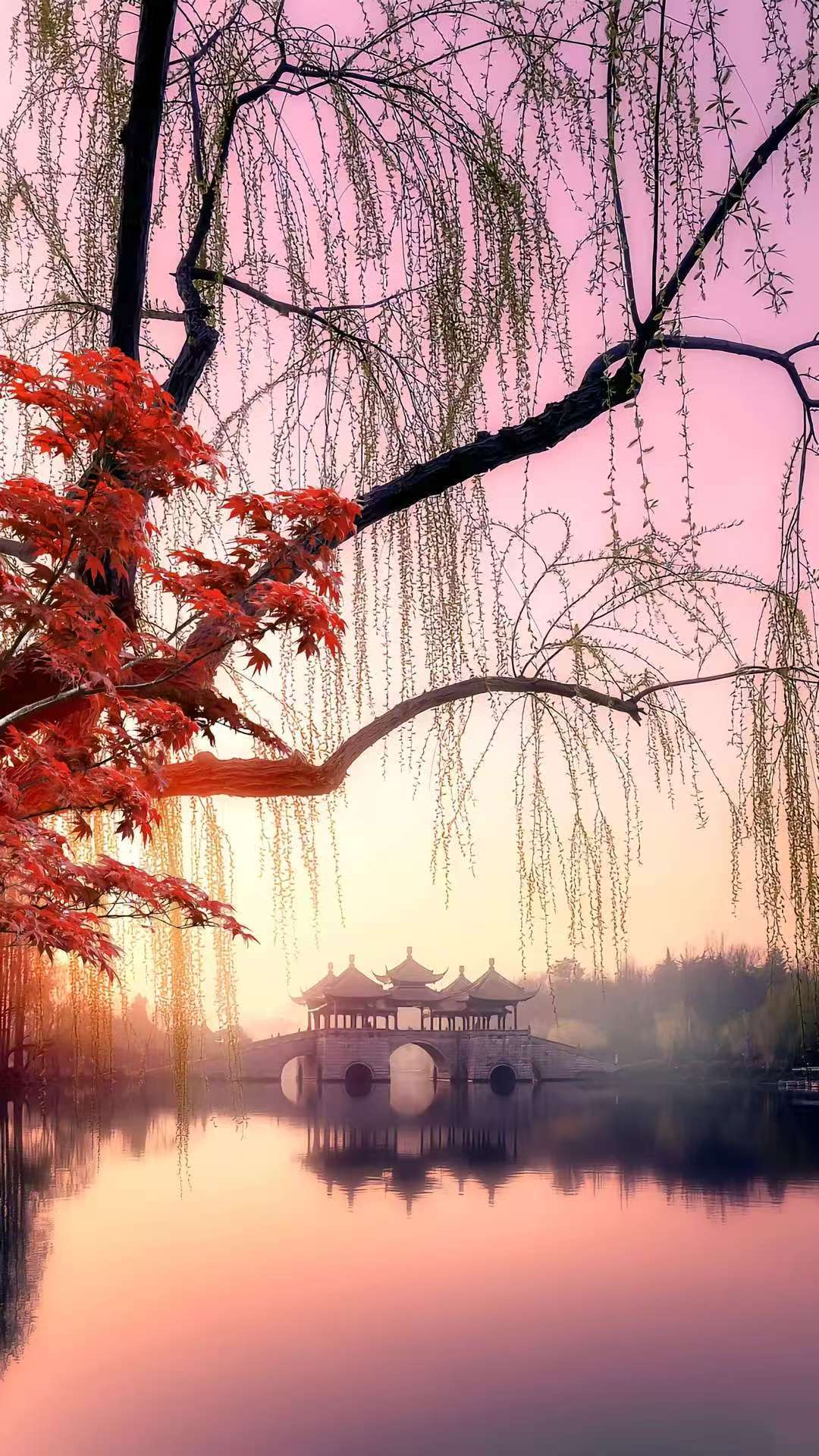 微信图片_20260413090553_18_461.jpg 微信图片_20260413090553_18_461.jpg