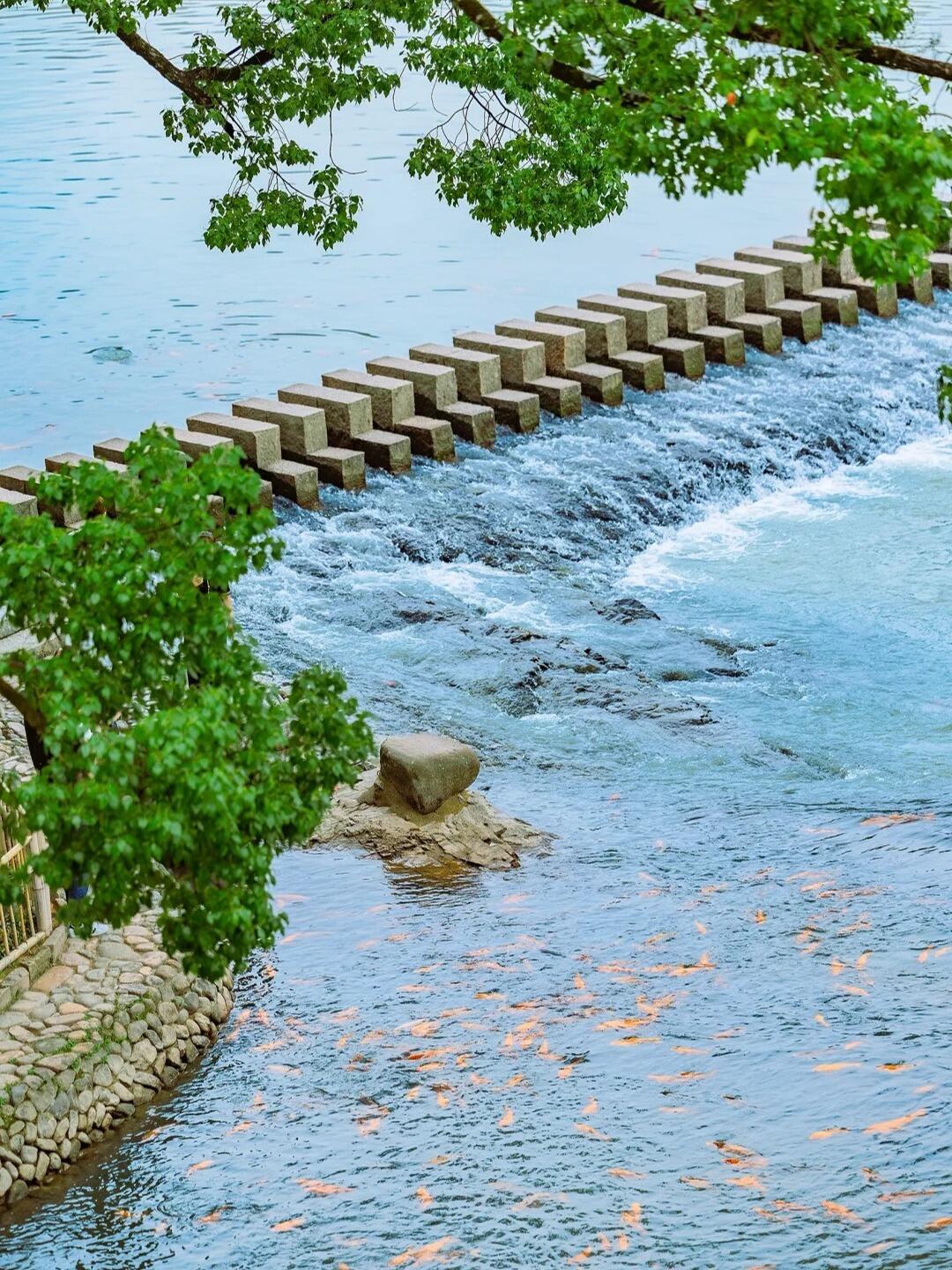 微信图片_20260413090615_45_461.jpg 微信图片_20260413090615_45_461.jpg